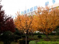 陜西職業(yè)技術(shù)師范學院2023年招生錄取分數(shù)線