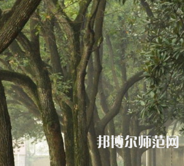 湖南師范大學(xué)樹達(dá)學(xué)院2023年招生簡(jiǎn)章