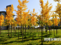 瀘州啟明幼師職業(yè)技術(shù)學(xué)校2023年怎么樣、好不好