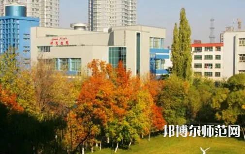 新疆大學師范學院南校區(qū)2023年有哪些專業(yè)