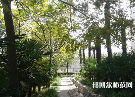 西北大學(xué)師范學(xué)院桃園校區(qū)2023年怎么樣、好不好