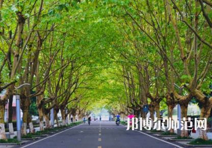 四川農(nóng)業(yè)師范大學雅安校區(qū)2023年怎么樣、好不好